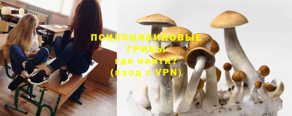 твердый Дмитриев