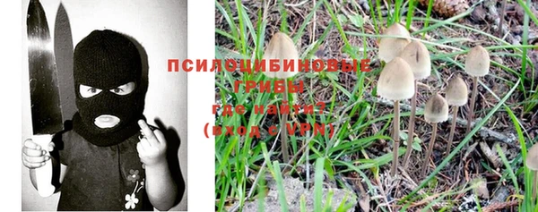 прущий лед Елизово