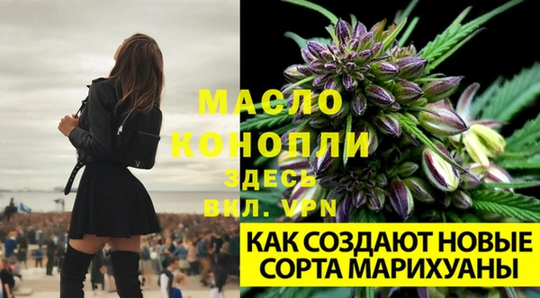 PSILOCYBIN Дмитров