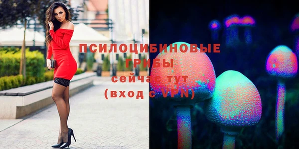 гашиш Ельня