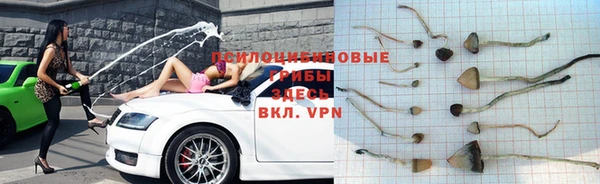 кокс Дмитровск