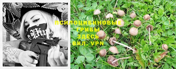 гашиш Ельня